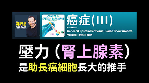 助長癌細胞長大的推手：壓力/腎上腺素 Cancer & Epstein Barr Virus III