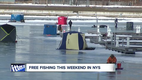 Get your fishing poles, free fishing in New York