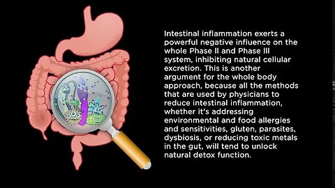 Detoxification Mechanisms in the Human Body