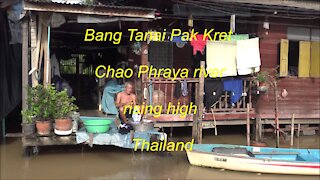 Bang Tanai Pak Kret Chao Phraya river rising high in Thailand