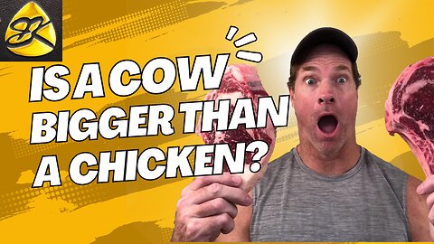 Shawn Baker vs. Vegan Imbecile HILARIOUS!