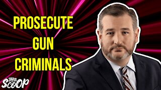 Ted Cruz Calls Out Dems 'Ridiculous Theater' After Shootings