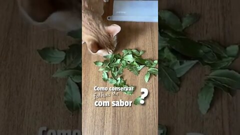 Como conservar folhas de louro com sabor?