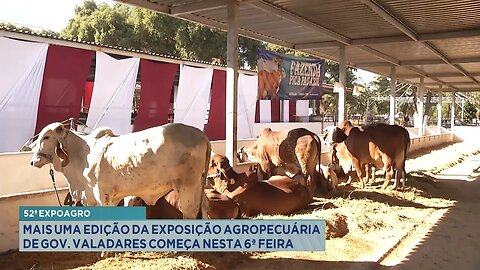 52ª Expoagro: Mais uma Edição da Exposição Agropecuária de Gov. Valadares Começa Nesta 6ª Feira.