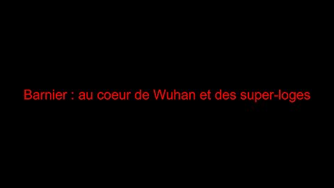 Barnier : au cœur de Wuhan et des super-loges