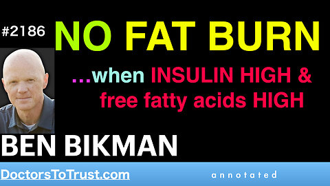 BEN BIKMAN | NO FAT BURN…when INSULIN HIGH & free fatty acids HIGH