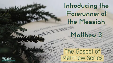 Who is the Forerunner? | Matthew 3