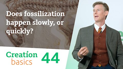 Does fossilization happen slowly, or quickly? (Creation Basics, Episode 44)