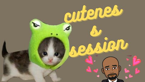 cuteness session/compilation