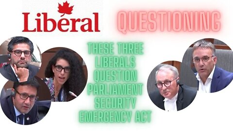 Three Liberals question parliament security on the use of the emergency act.