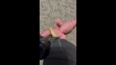 Monday Massage with SPH. Sometimes you just have to massage your pink piggy. #funnyvideos #funny