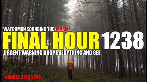 FINAL HOUR 1238 - URGENT WARNING DROP EVERYTHING AND SEE - WATCHMAN SOUNDING THE ALARM