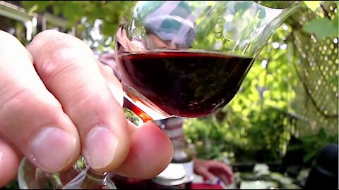 Chilling & Sampling Liqueurs in Our Patio Garden [ASMR, Drinking, Open Discussion, Recipes, Relax]