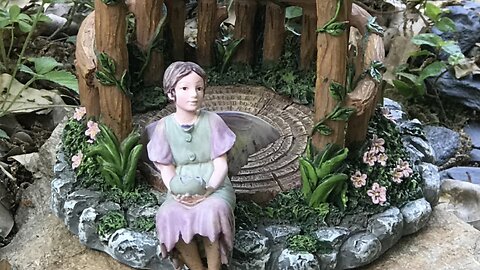 Amy's Fairy Garden