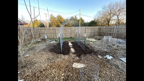 DIY Cattle panel trellis