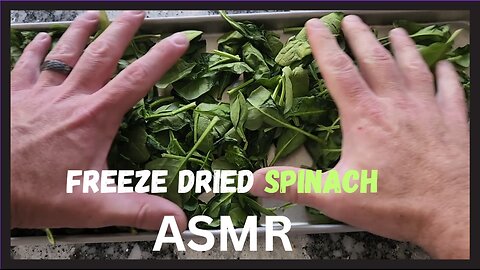 Freeze Dried Spinach ASMR