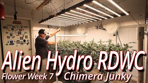 Alien RDWC In Flower Week 7: Spider Farmer SE7000 Full Garden Update