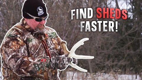 Where to Find Shed Antlers