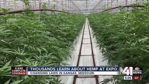 Green rush: Cannabis advocates hope to make money as laws ease in Missouri, perhaps Kansas