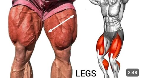 Best 5 Exercises To Build A Strong Legs ll Leg Workout