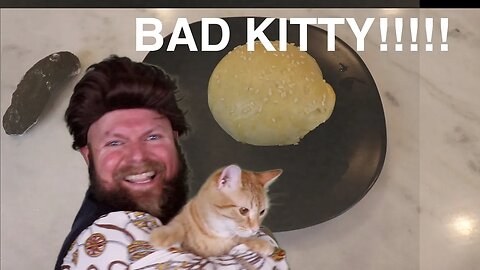 Cat Poops On Scones During Cooking Show