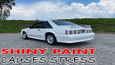 Before you paint your fox body, give this some thought first.