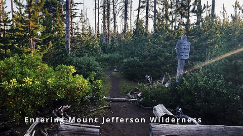 Entering Mount Jefferson Wilderness Hiking to Square Lake & Booth Lake! Three Fingered Jack Loop 4K