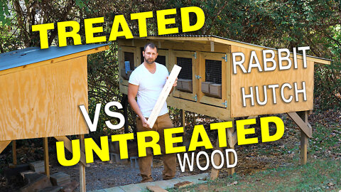 TREATED vs UNTREATED - RABBIT HUTCH - ONE BIG MISTAKE