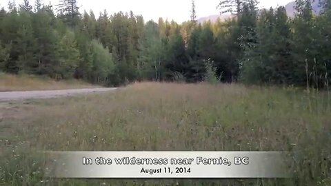 Face to Face With A Mountain Lion