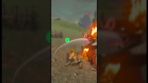 Urbosa fights Thunderblight Ganon! #legendofzelda #zelda #hyrulewarriors #ageofcalamity #shorts