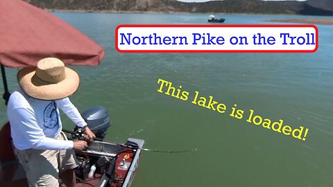 Fishing Navajo Lake with Steve-- Spoonplugging!