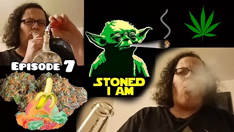 Yoda's Lettuce - Weed Strain Review #7 - Sour Banana Sherbet