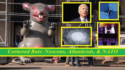 Cornered Rats: Neocons, Atlanticists, & NATO