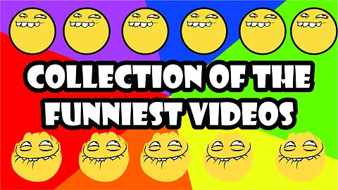 Collection of the Funniest Videos - Funny Entertainment