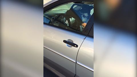 Dog Honks Horn For Owner's Attention