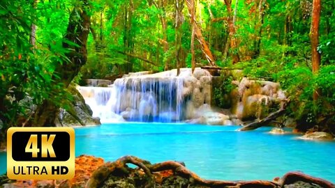 Relaxing Zen Music & Water Sounds • Amazing Ambience for Relaxation, Meditation, Spa and Yoga