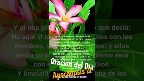 Oración del Día - Apocalipsis 21 #shorts