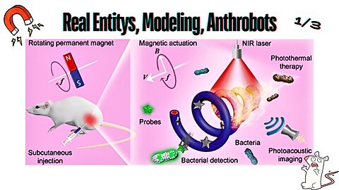 Real Entitys, Modeling, anthrobots 1/3