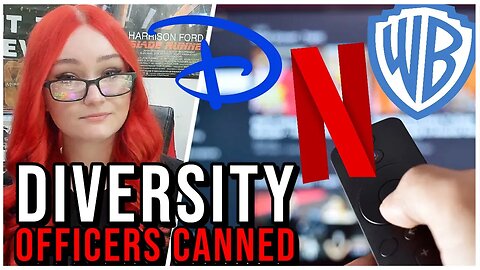 Diversity Officer PURGE | Netflix, Disney And Warner Bros BOOT Their DEI Execs In Major Shakeups