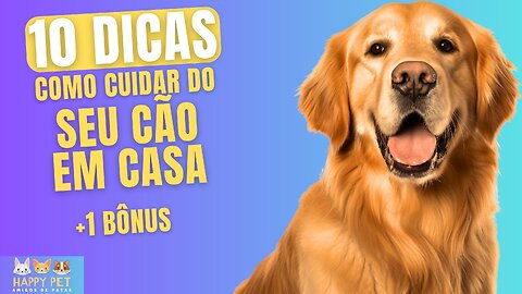 10 Dicas Para Cuidar do Seu Caozinho Em Casa