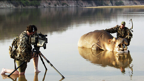 Hippo with Bow and Arrow