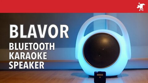 BLAVOR Colorful Bluetooth Karaoke Speaker