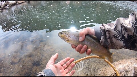 Euro Nymphing First Timer - Fly Fishing New Mexico | 2021