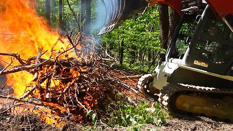 Taking down a TON of trees...