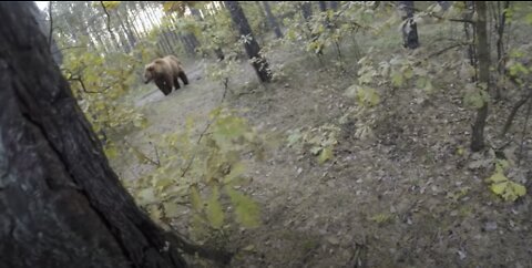 Bear Attack while bike riding!