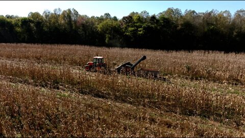 Harvest Time