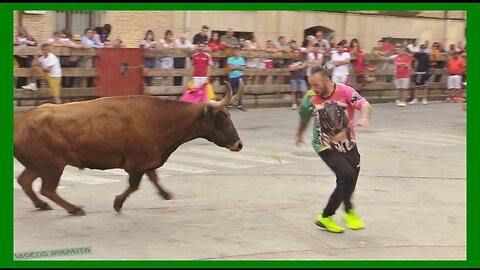 BUÑUEL ( NAVARRA ) TARDE VACAS EN CALLE ( MARTES 25 JULIO 2023 ) GANAD.EL RUISEÑOR