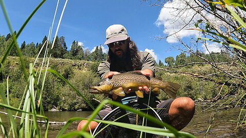 East Idaho: August Browns & Rainbows