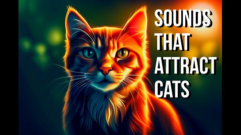 Sounds that attract cats 😻 Meow to make cats come to you