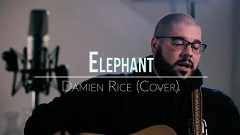 Under the Influence Singles Cole Woodruff Elephant Cover